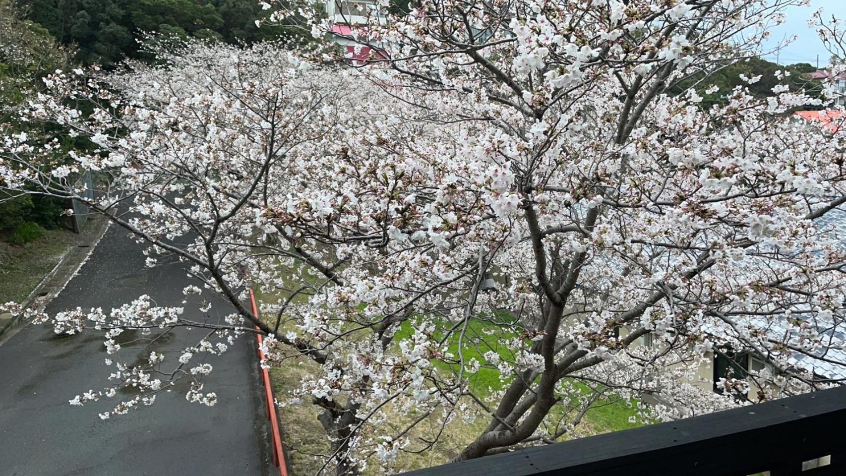 白滨明治别墅 外观 照片